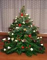 vanocni_stromek.jpg (4119 bytes)