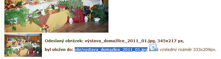 odeslan� obr�zek